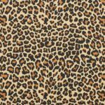 Animal Print